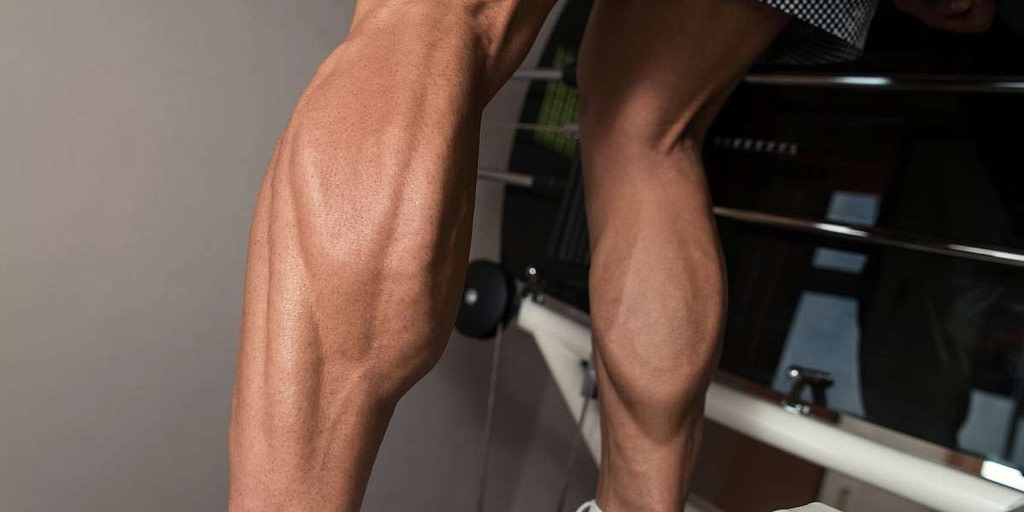 kuiten trainen training