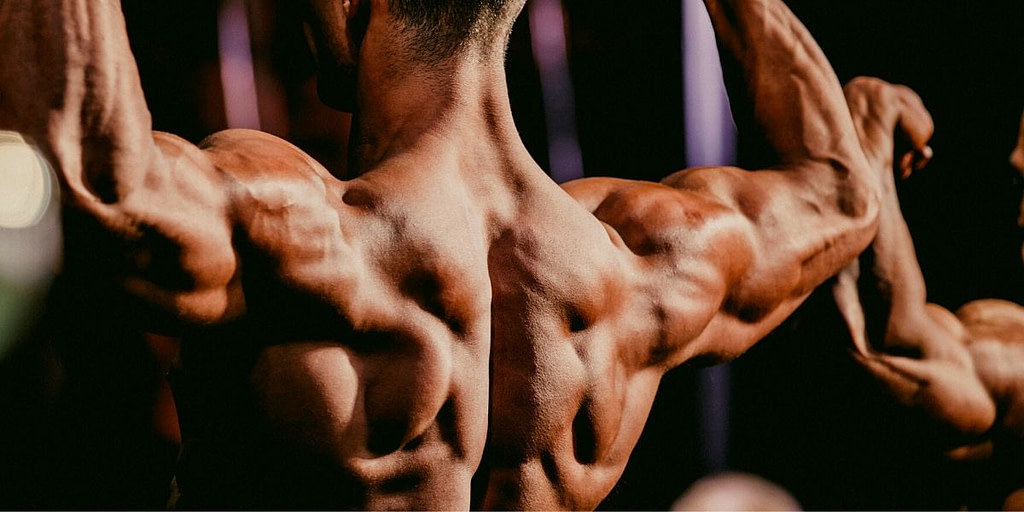 muscle memory fitness