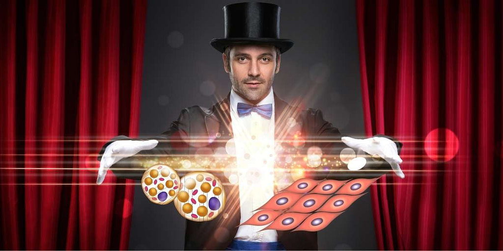 vet omzetten in spieren