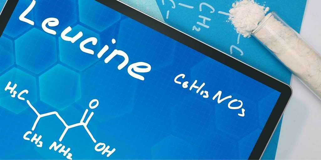 wat doet leucine