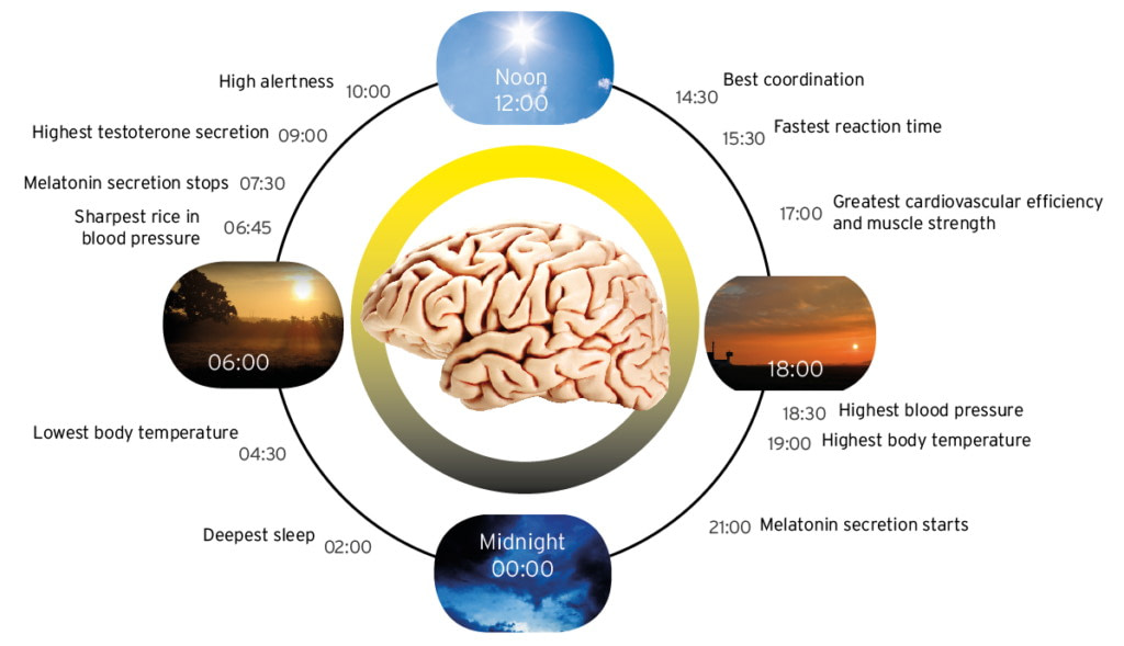 intermittent fasting afvallen