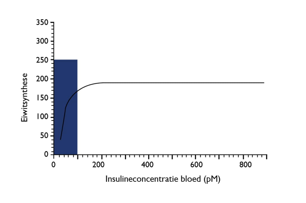 koolhydraten na training