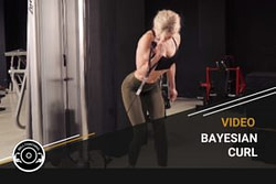 bayesian-curl-300x200