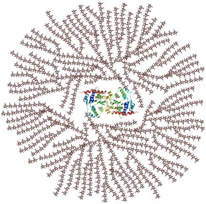 koolhydraatarm eten gezond
