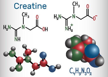 creatine haaruitval