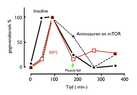 muscle full effect protein eiwit