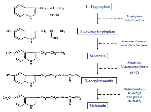 voeding beter slapen