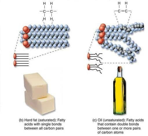 gezonde vetten lijst