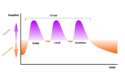 insuline vet verbranding