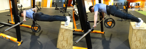 elevated bar push ups