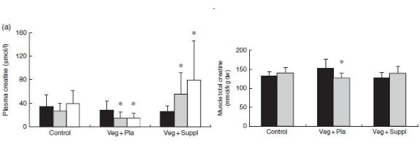 creatine plantaardig