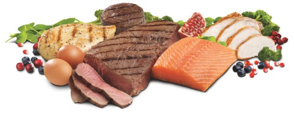 ketogeen-dieet-eiwitinname-niet-verlagen