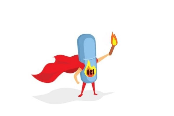 buikvet kwijtraken pillen fatburner