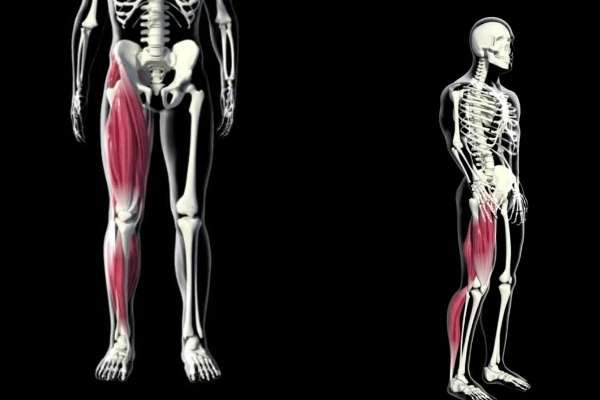 dikkere bovenbenen krijgen