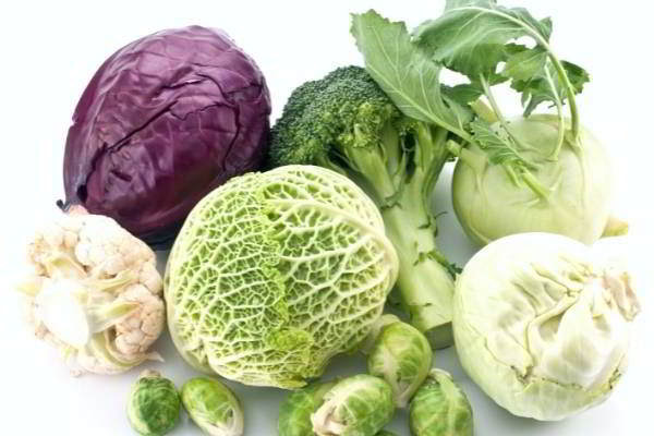 eiwitdrankjes ouderen