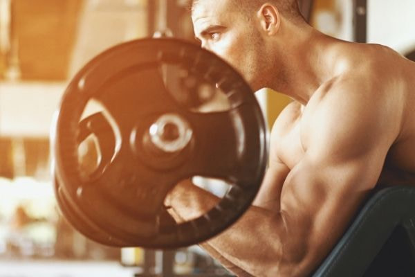 mind muscle connectie