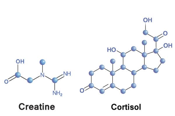 creatine steroïde