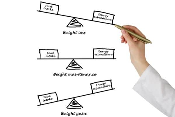 intermittent fasting afvallen