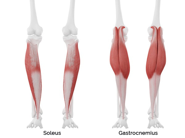 kuiten trainen vrouwen