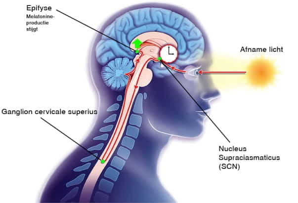 kwaliteit slaap verbeteren