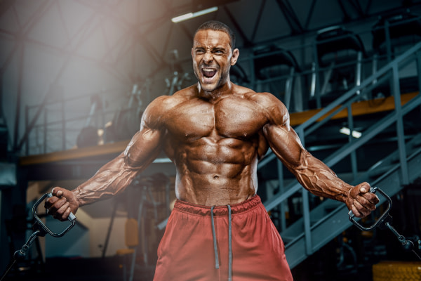 werken fatburners