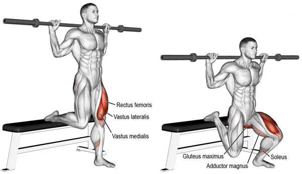 bulgarian split squat welke spieren