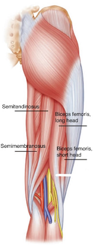 achterkant benen trainen