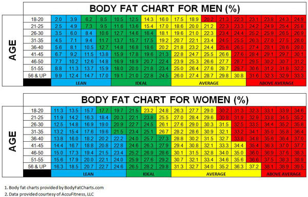Gezonde vetpercentages voor mannen en vrouwen - Bell Coaching