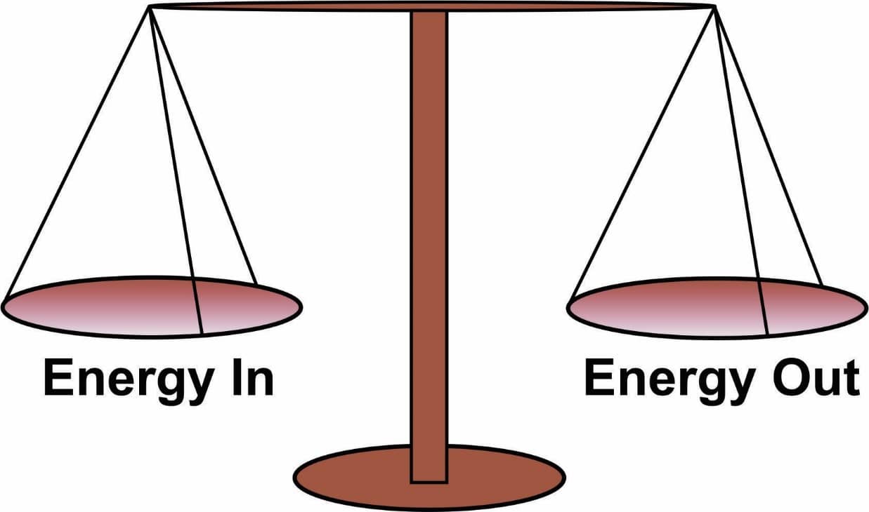 CICO: Metabolisme en energiebalans